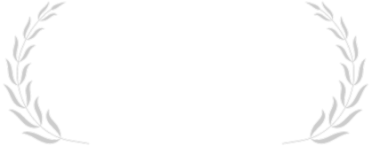 DSU-logo-bg